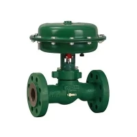 Fisher D Body Valve